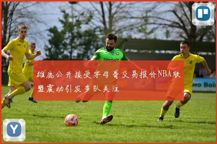 雄鹿公开接受字母哥交易报价NBA联盟震动引发多队关注