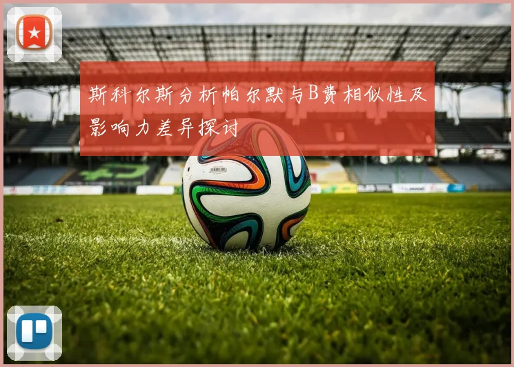 斯科尔斯分析帕尔默与B费相似性及影响力差异探讨