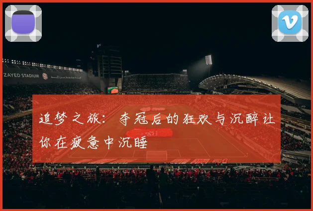 追梦之旅：夺冠后的狂欢与沉醉让你在疲惫中沉睡